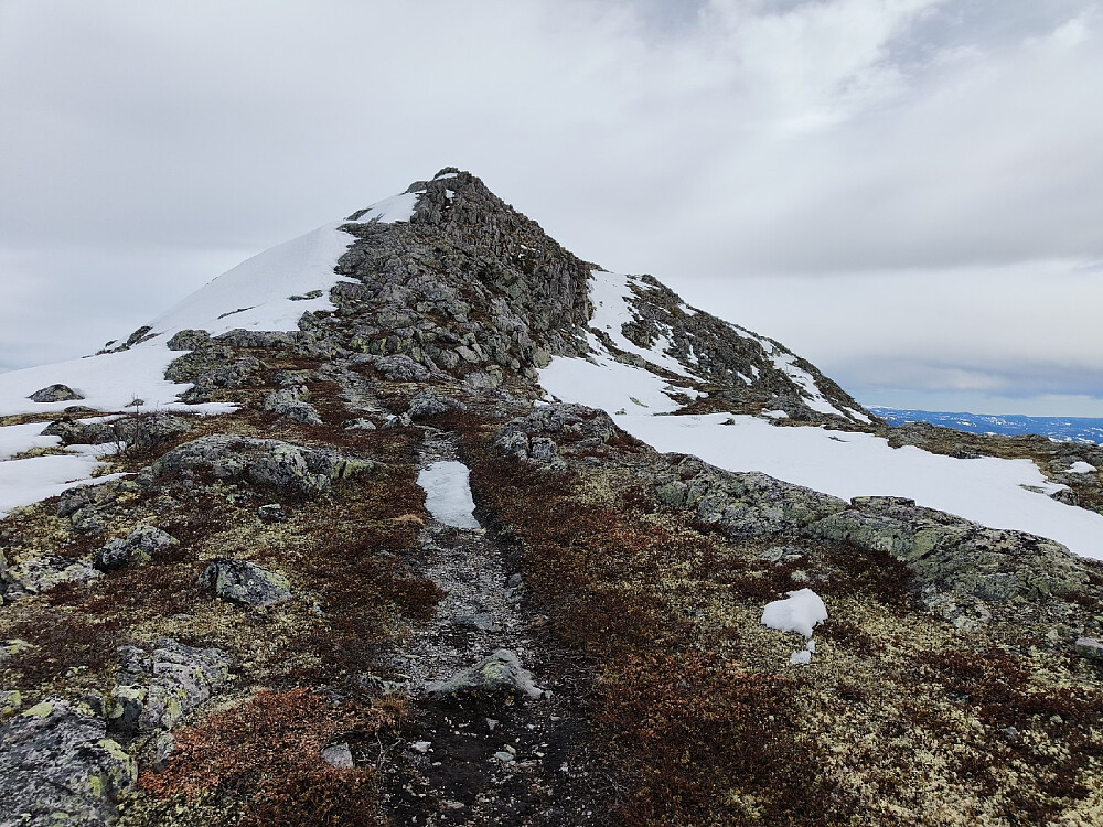 Den siste delen av vestegga var ganske snøfri og bratt, så jeg satte igjen skiene og ruslet opp på beina.