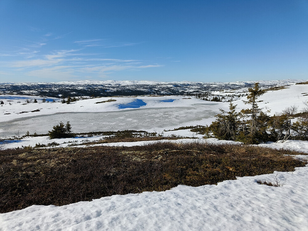 Tjerna begynner nok å bli usikre nå