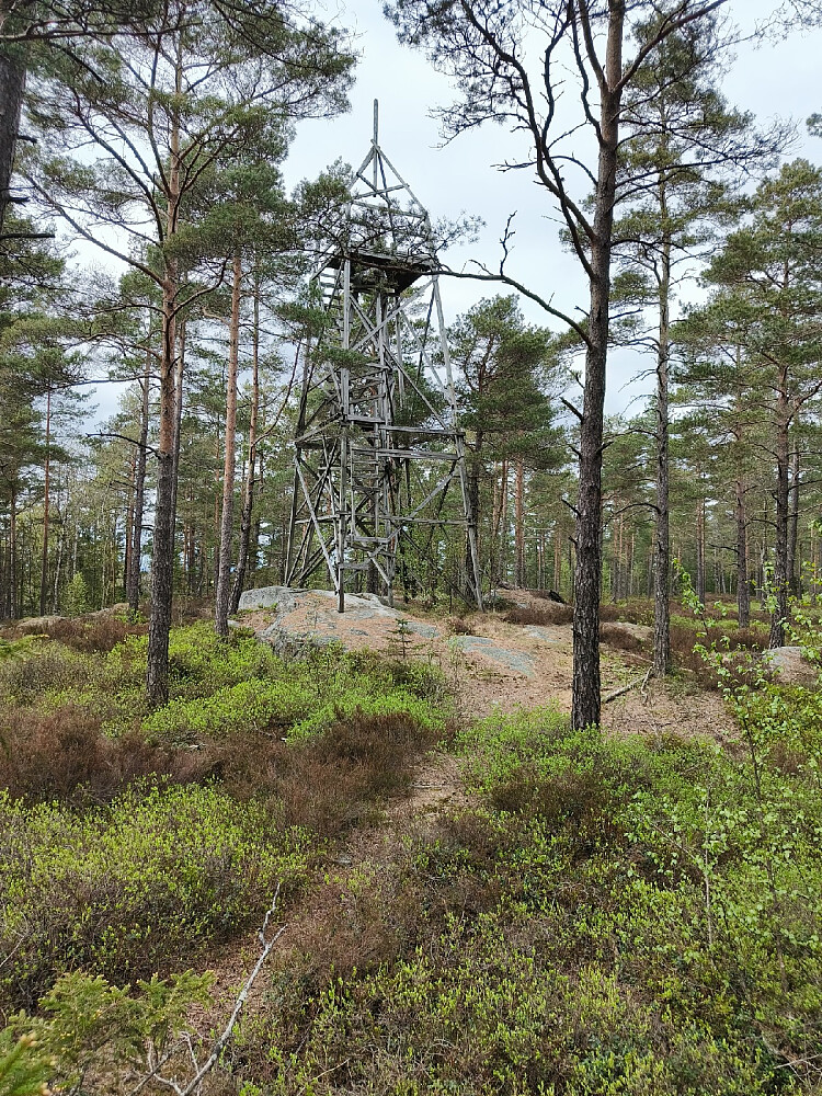 Jeg gikk ikke opp i tårnet da det så litt vaklete ut og i den nederste delen av stigen var fjernet