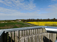 Olepetter_20260508_69fdc0021cd60.jpg