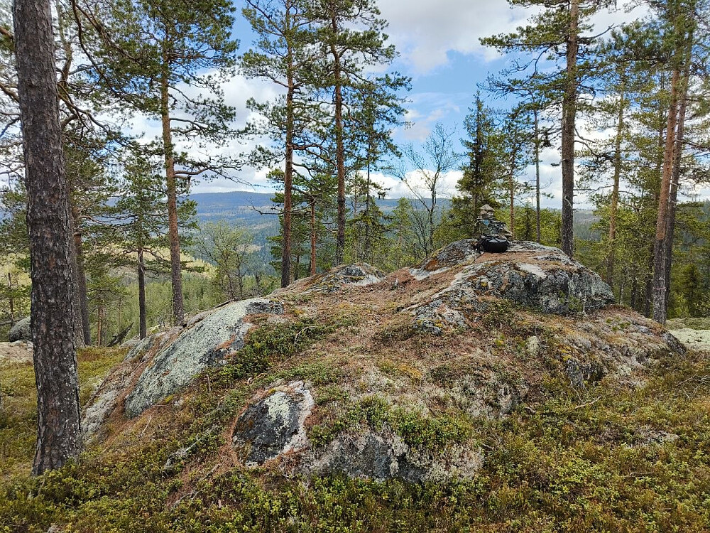Varden på Fønhusknatten.