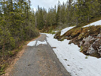 Olepetter_20260521_6a0f0741cb517.jpg