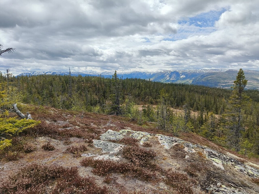 Utsikt mot Vassfar-fjell