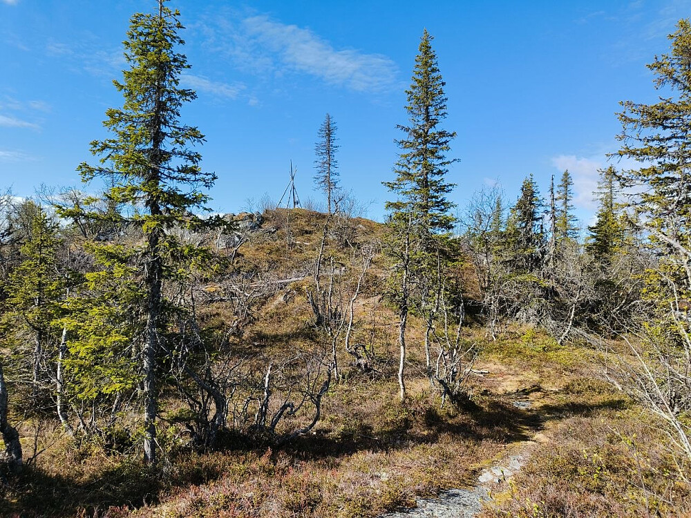 Toppen på Langeberget.