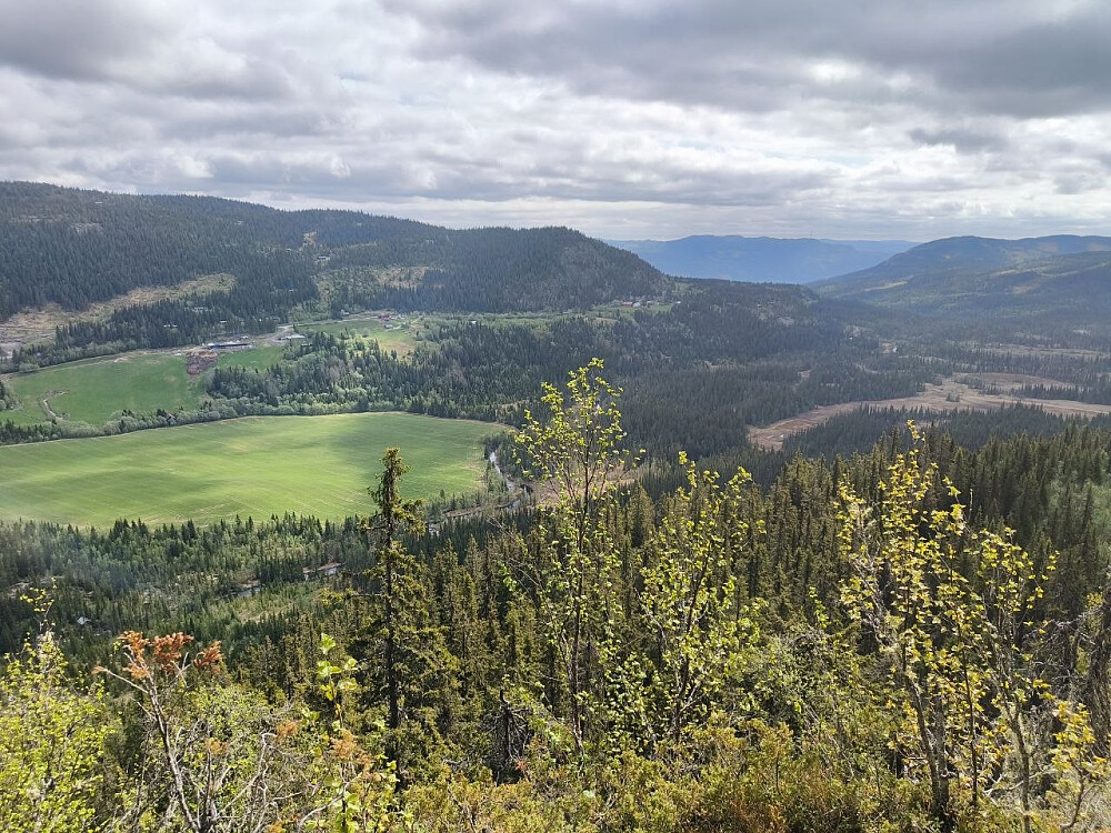 Utover Stavedalen.