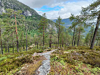 Olepetter_20260605_6a22aac776ae1.jpg