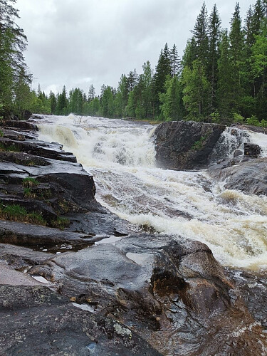 Mye vann i Muggedøla nå!