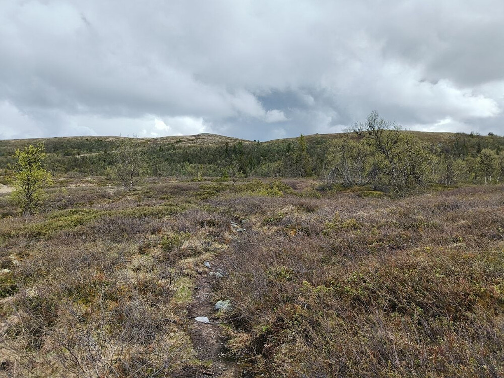 Opp mot Haugsetfjellet fra vest.