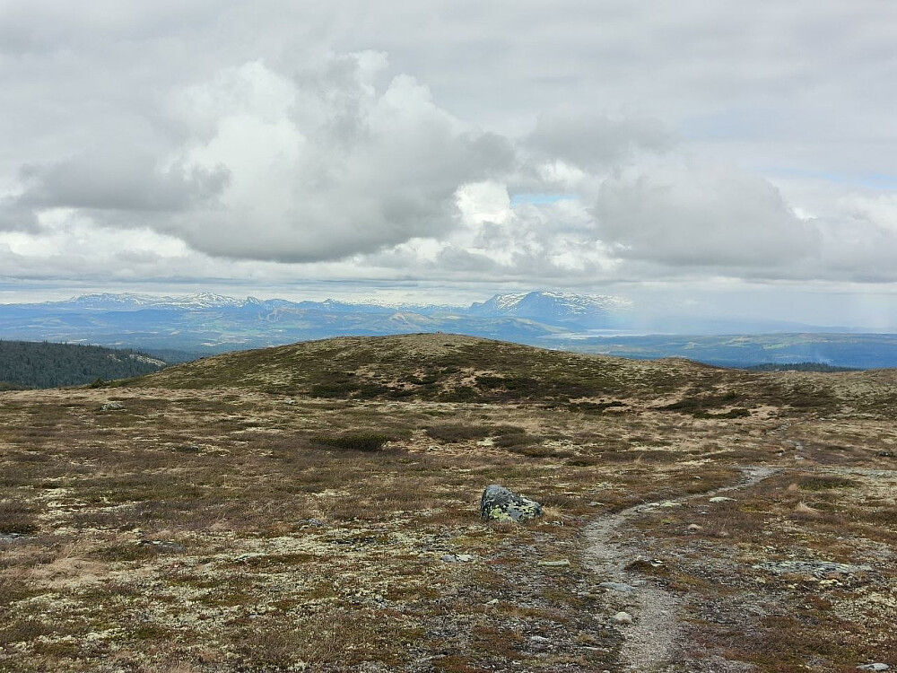 Fra toppen mot Skogshorn og Hemsedalfjell.