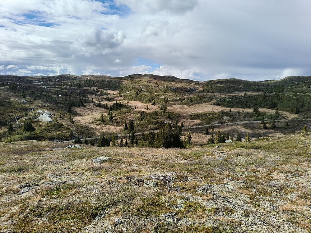 Hollastølsfjellet sett fra Bufarknatten.