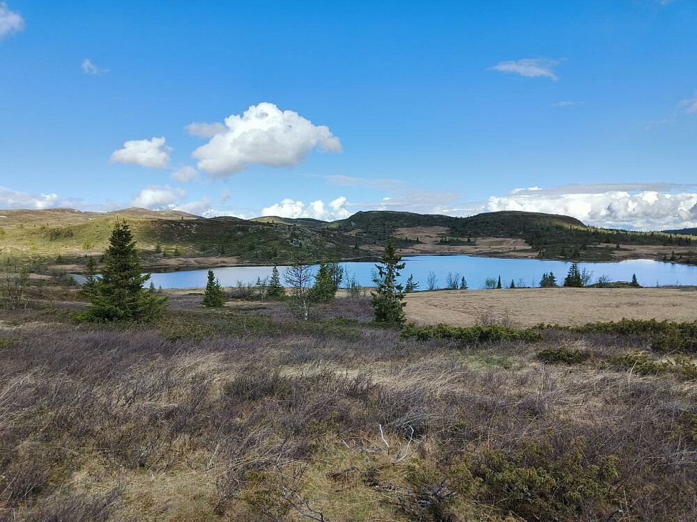 Tilbakeblikk på Øytjernet.