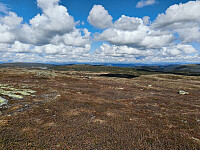 Olepetter_20260607_6a256f6457c55.jpg