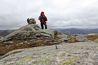 Skarkaknuten