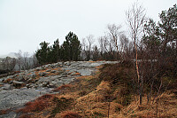 Steinfjellet