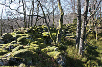 Borgaråsen