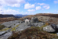 Sør for Middagsåsen