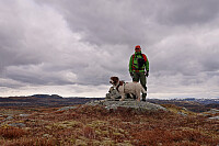 Såteheia