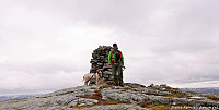 Skorva