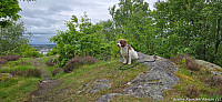 Ulsberget