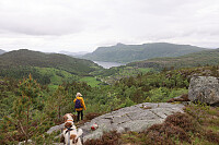 Heståsen