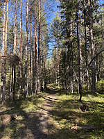ØyvindBergkvam_20250910_68c175b6dec35.jpg