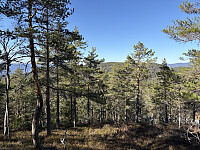 ØyvindBergkvam_20250910_68c175e4eeb8f.jpg