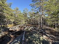 ØyvindBergkvam_20250910_68c17619836d1.jpg