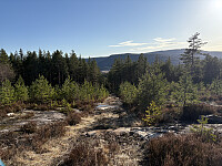 ØyvindBergkvam_20250910_68c1762ca027e.jpg