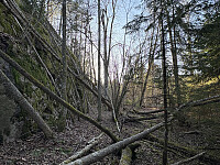 ØyvindBergkvam_20250910_68c1799c07fb0.jpg
