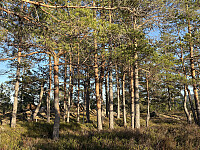 ØyvindBergkvam_20250910_68c179b6cf87c.jpg