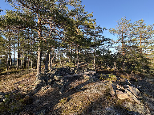 Bardåsen i Nome