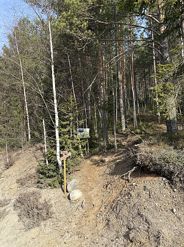Stistart fra vegen like ved p-plassen