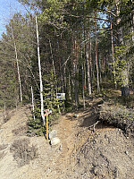 ØyvindBergkvam_20250911_68c27b38732d7.jpg