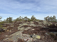 ØyvindBergkvam_20250911_68c27b647ba95.jpg