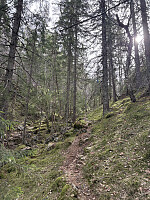 ØyvindBergkvam_20250911_68c281b2de07b.jpg