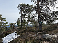 ØyvindBergkvam_20250911_68c281c92de0e.jpg