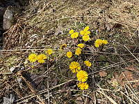 ØyvindBergkvam_20250911_68c281e1e656a.jpg