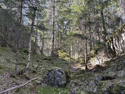 Nord for Hantofjellet, like før jeg gikk ut fra stien