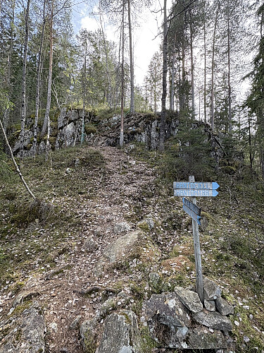 Stikrysset lengst nord på Vardefjellet