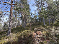 ØyvindBergkvam_20250911_68c2c4430b036.jpg