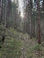 ØyvindBergkvam_20250911_68c2ca2a5a4b4.jpg