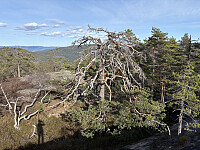 ØyvindBergkvam_20250911_68c2ca31a1c08.jpg