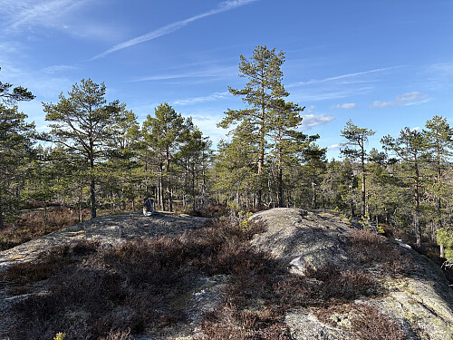 Toppkollen på Husefjell 352 moh