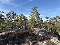 ØyvindBergkvam_20250911_68c2ca4102e4f.jpg