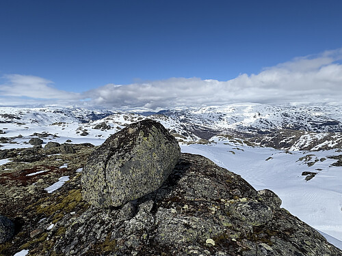 Kaldavassnuten nord med Tarven bak til høyre
