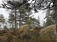 ØyvindBergkvam_20250913_68c5a1238e26d.jpg