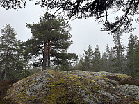 ØyvindBergkvam_20250913_68c5a13470b09.jpg