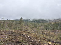 ØyvindBergkvam_20250913_68c5a141d142a.jpg