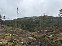 ØyvindBergkvam_20250913_68c5a153cfd7a.jpg