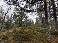 ØyvindBergkvam_20250913_68c5a15cb8702.jpg